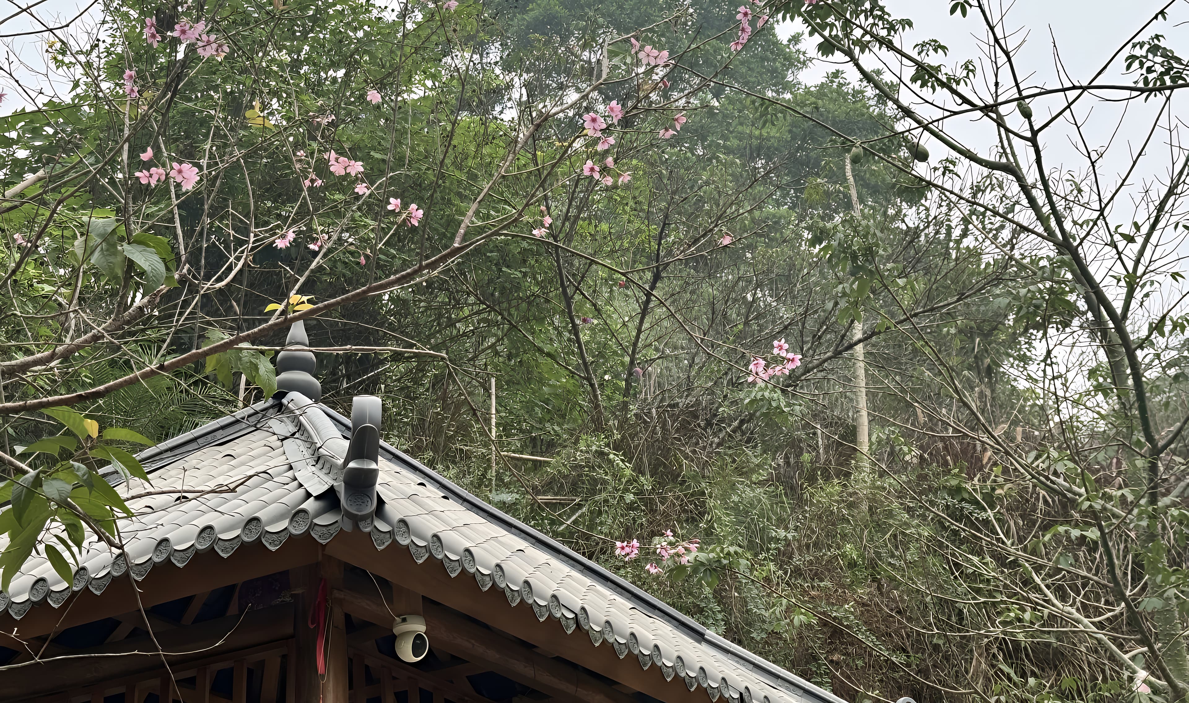 Khu vườn Đỉnh Thượng Thần — Tiến Xuân, Hà Nội